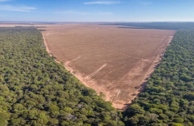 Será que cai no vestibular? Degradação ambiental e câncer de mama