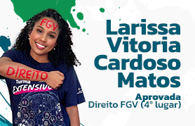 Larissa Vitória Cardoso Matos