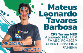 Mateus Leonardo Tavares Barbosa