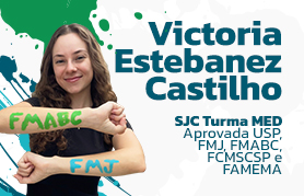 Victória Estebanez Castilho
