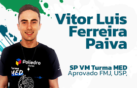 Vitor Luis Ferreira Paiva