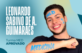 Leonardo Sabino de Almeida Guimarães